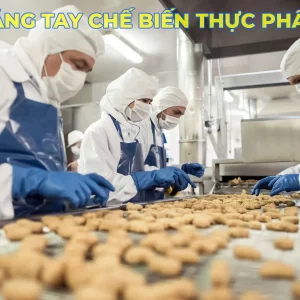 Găng tay chế biến thực phẩm